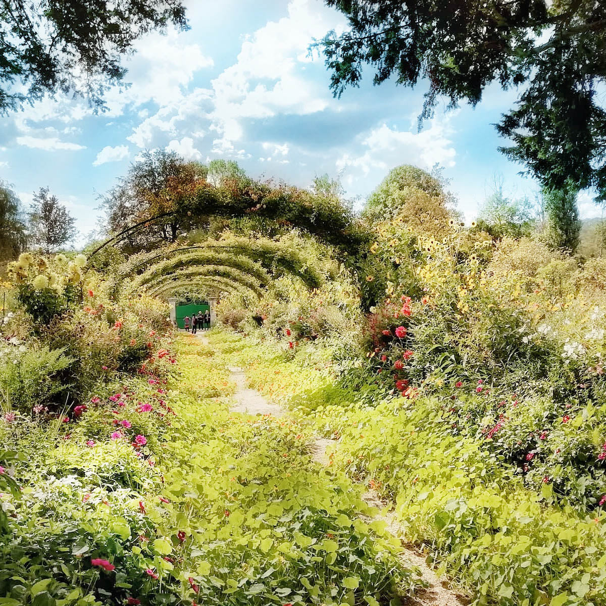 Jardín de Monet