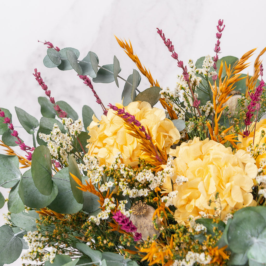 Centro Levitt con foto XL