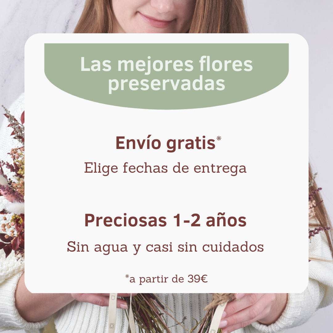 lo mejor de las flores preservadas