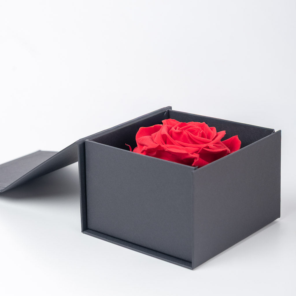 cofre caja con rosa eterna preservada, peluche y bombones ideal san valentín