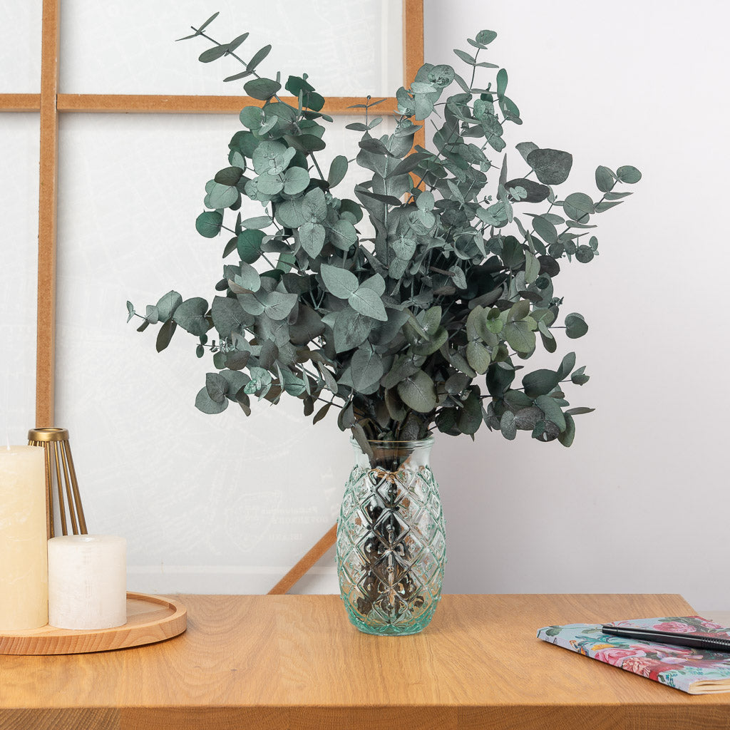 jarrón de cristal con ramo de eucalipto preservado