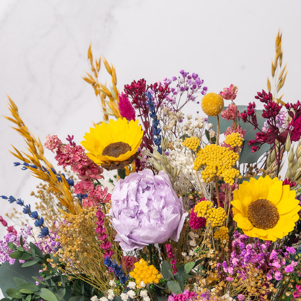 Centro Hara con foto XL