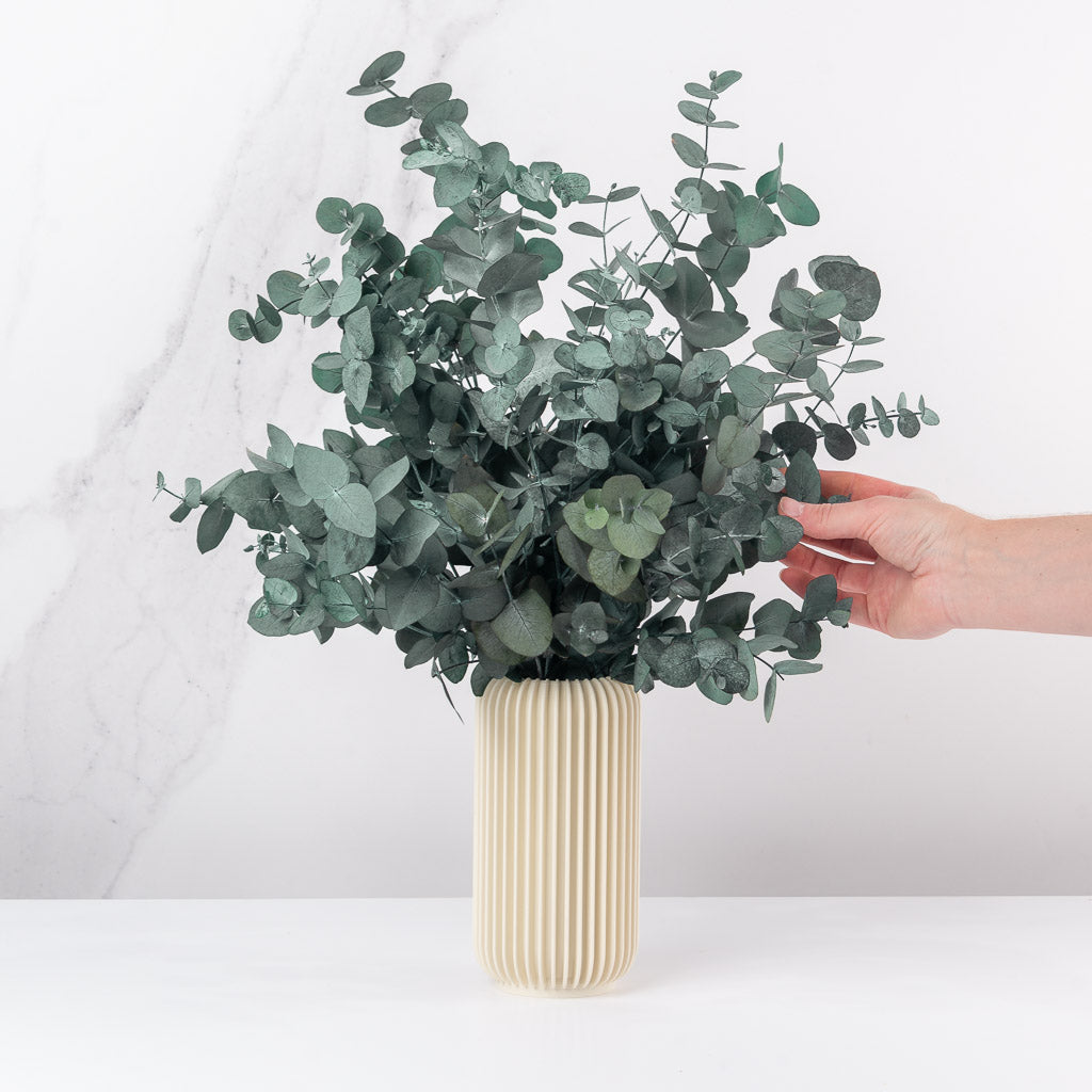jarrón con eucalipto preservado