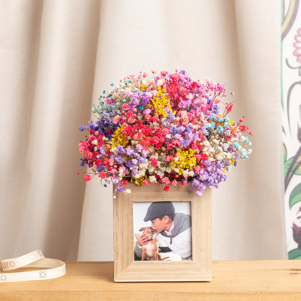 centro de paniculatas preservadas