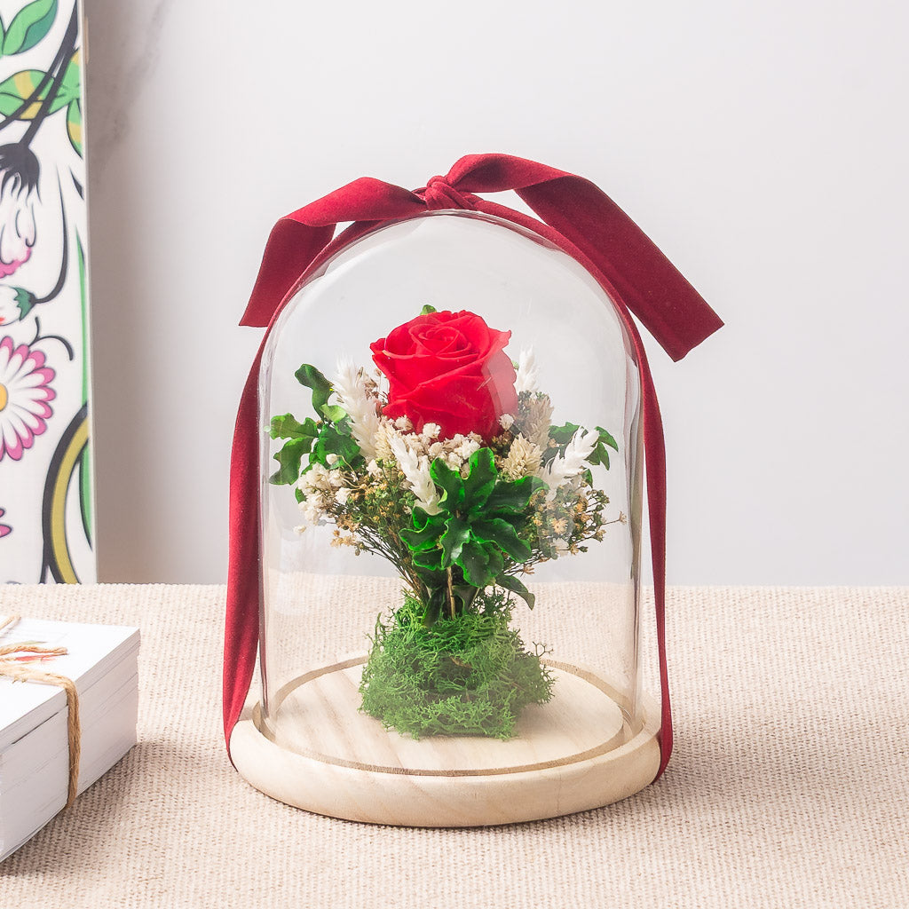 Cúpula con rosa eterna preservada en diferentes colores