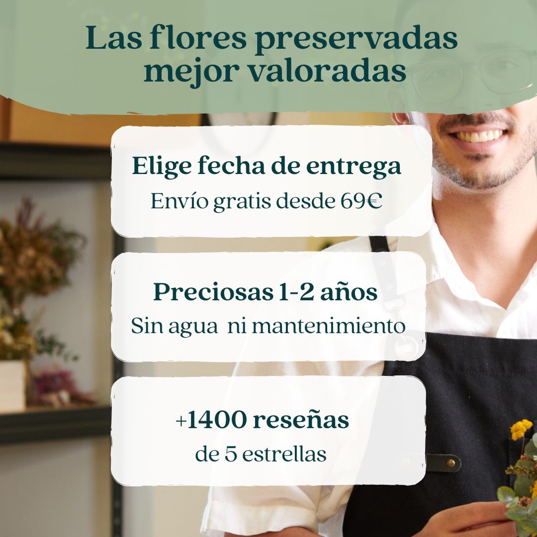 ramos y centros de flores de flores secas y preservadas Auro floral