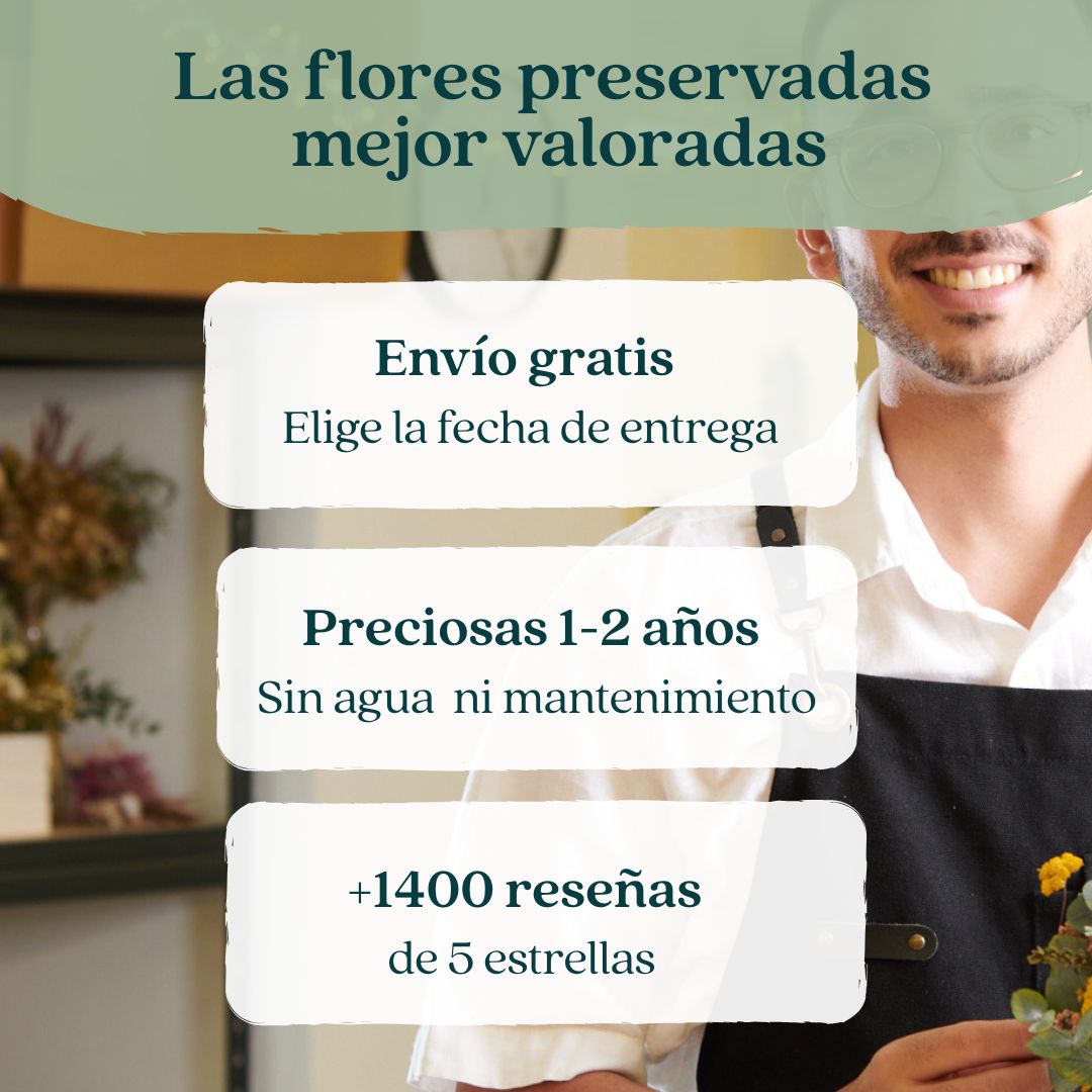 ramos y centros de flores preservadas con gran calidad y buenas reseñas