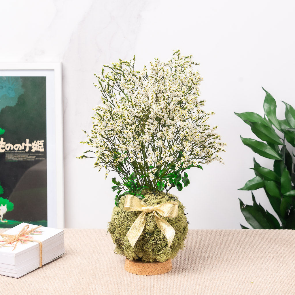 Kokedama eterno de limonium