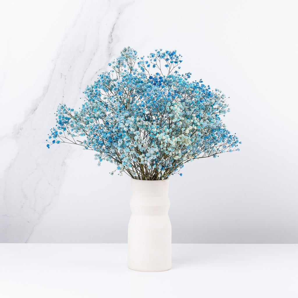 Manojito de Gypsophilla (elige el color)