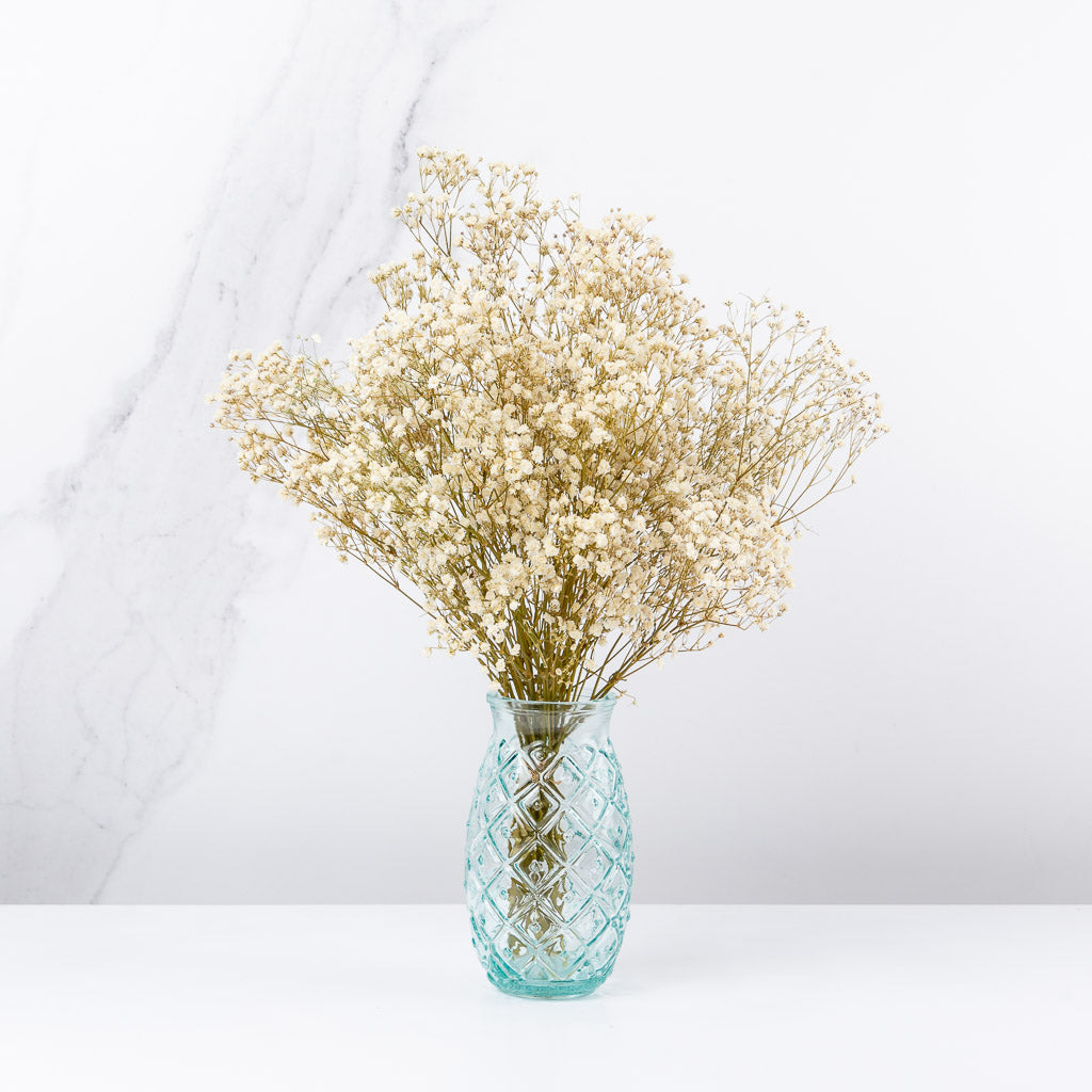 Manojito de Gypsophilla (elige el color)