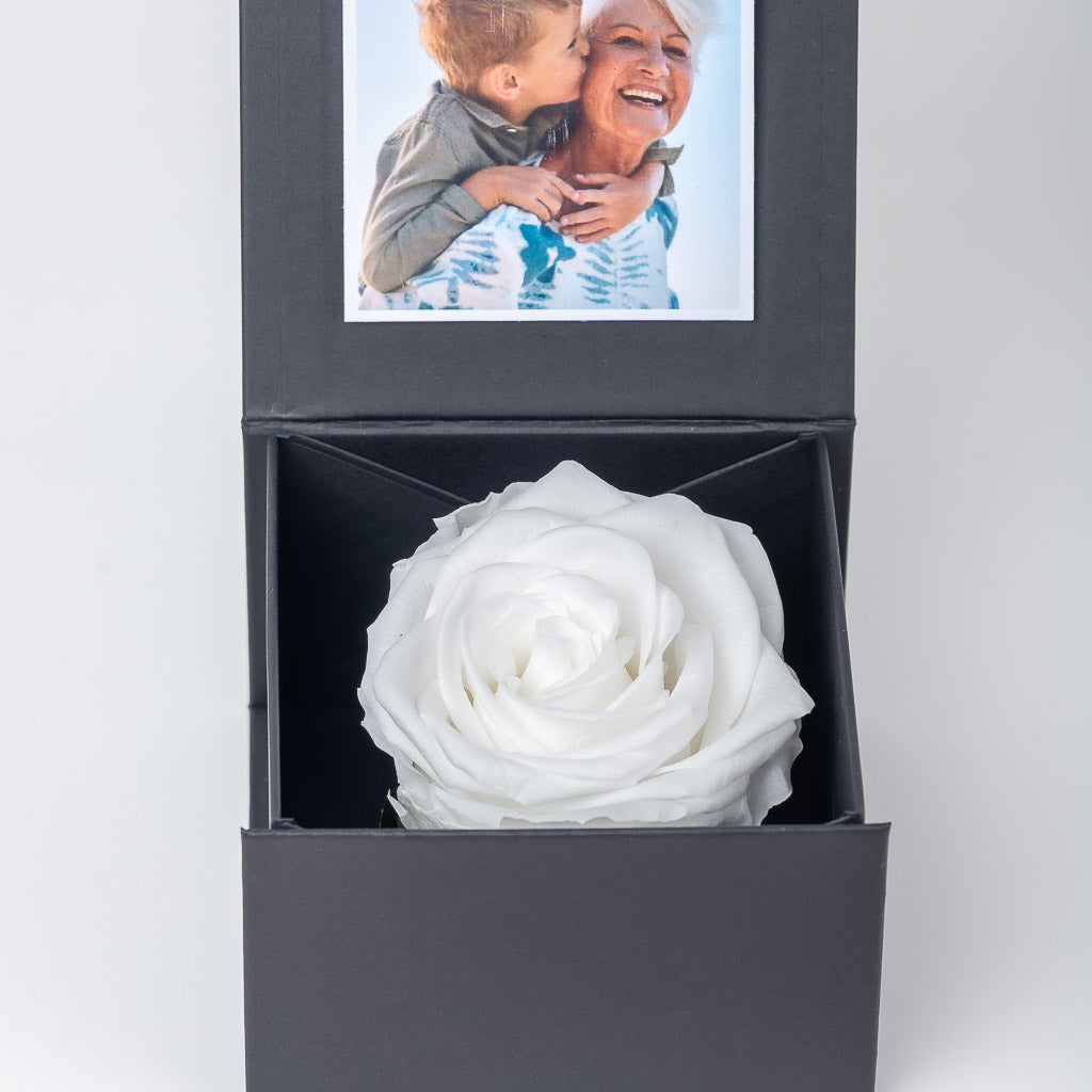 cofre caja con rosa eterna preservada, peluche y bombones ideal san valentín