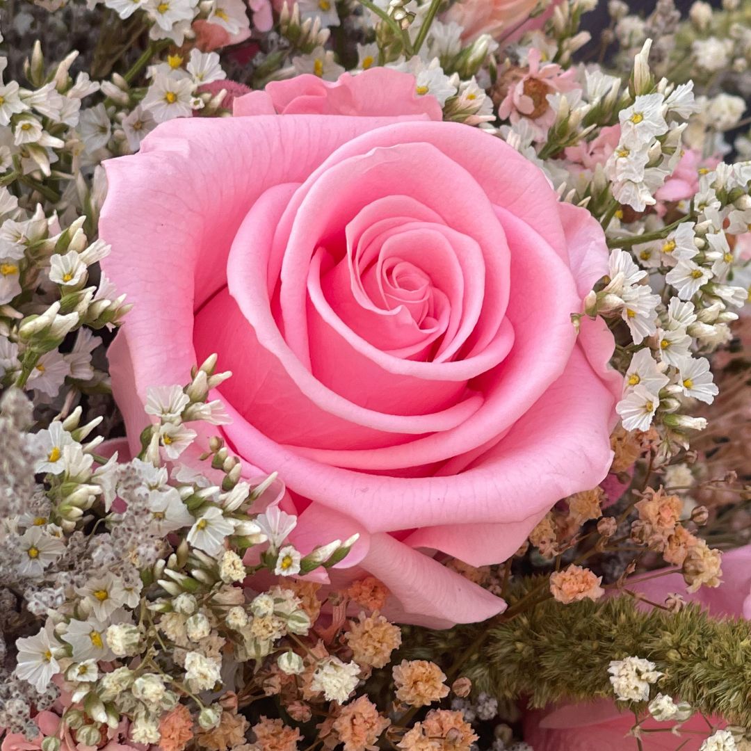 rosa preservada rosa suave