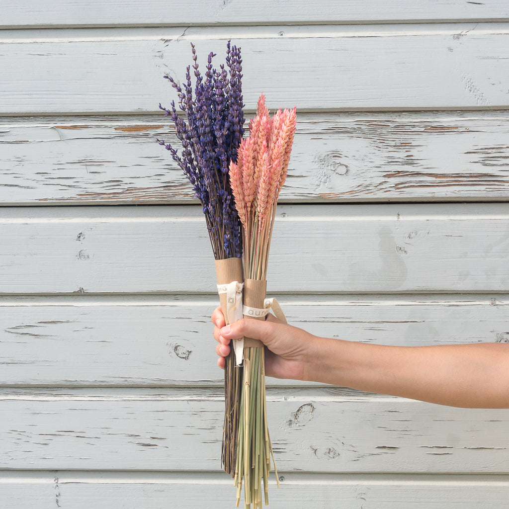 manojos de lavanda y espiga