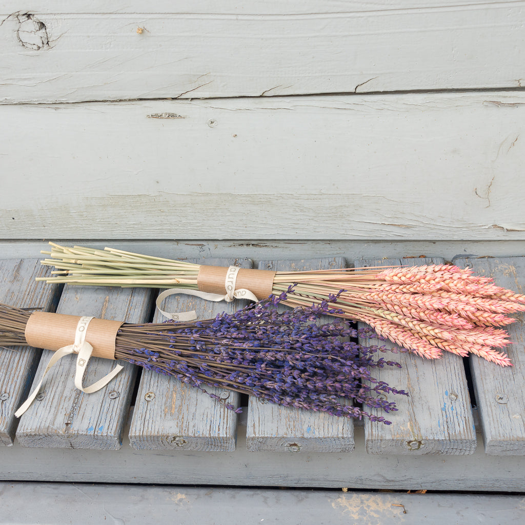 manojitos de lavanda azul y espiga rosa preservada
