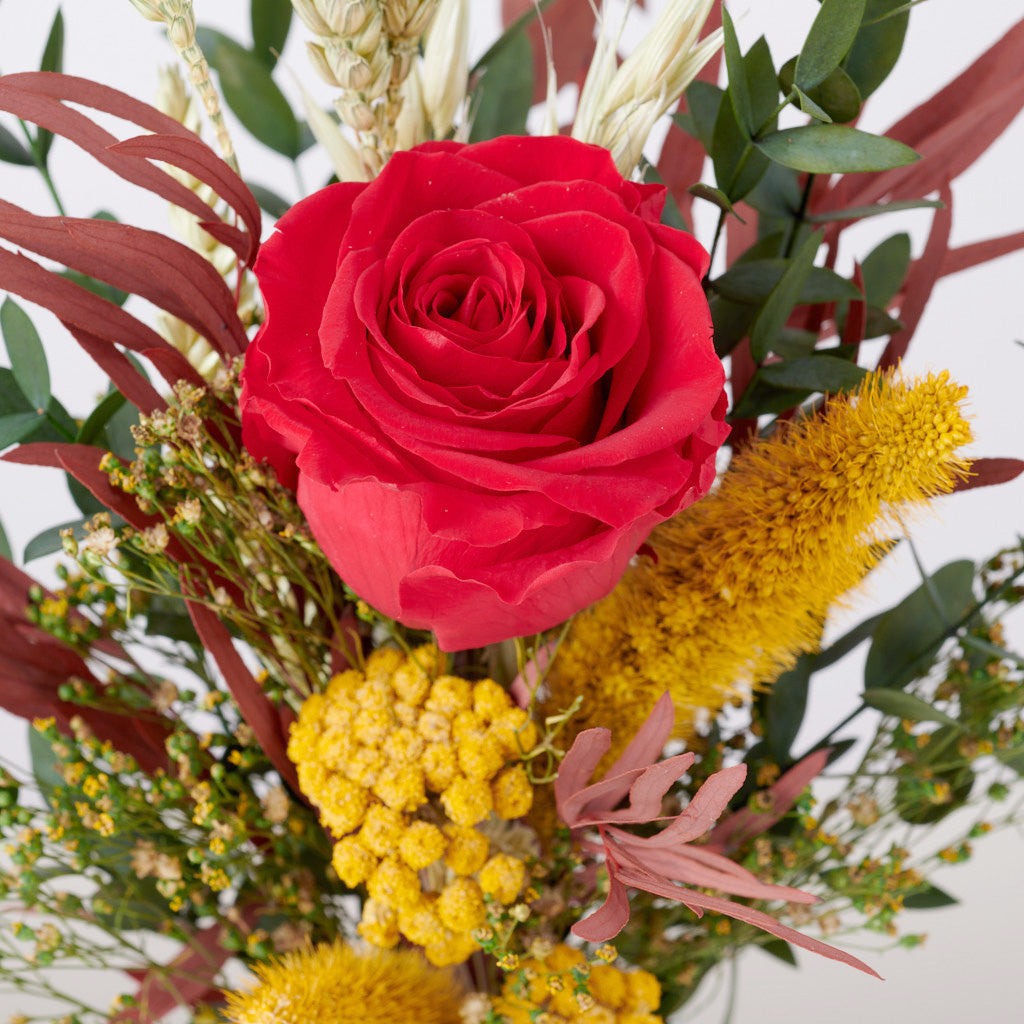 rosa eterna de sant jordi