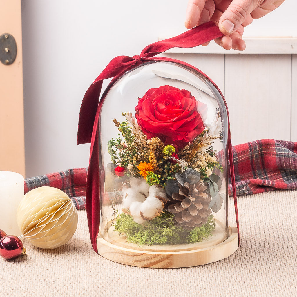 Cúpula de Navidad con Rosa XL