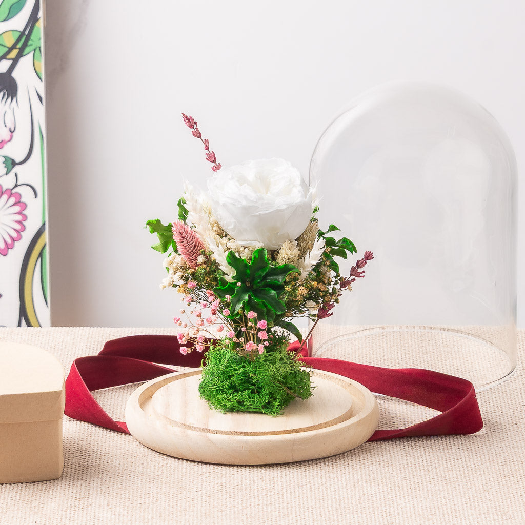 cúpula campana con peonia preservada