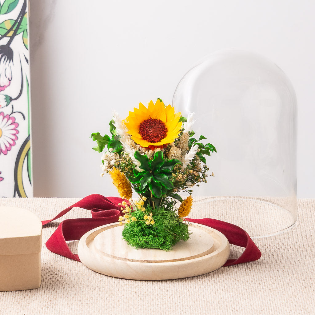 Cúpula con girasol preservado