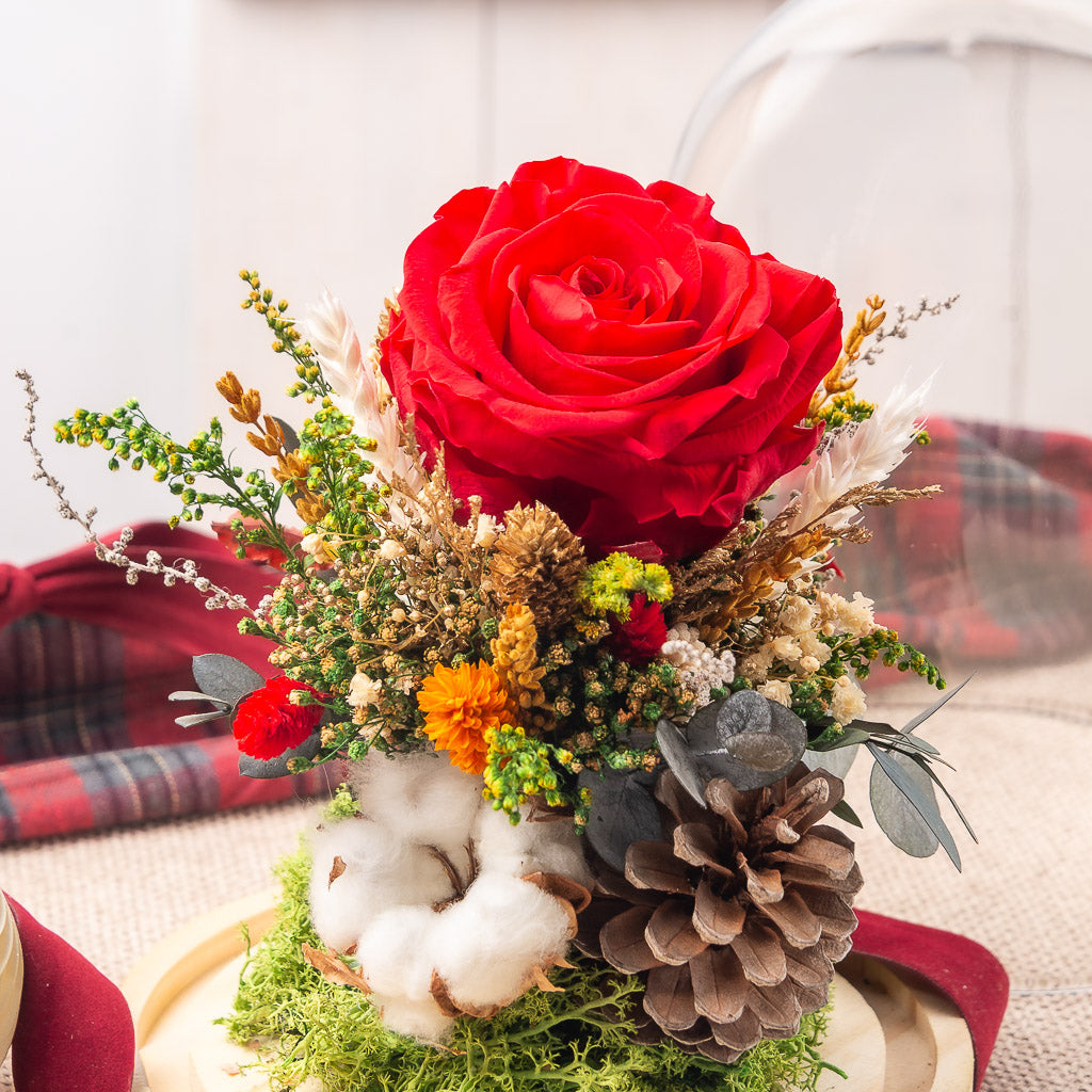 Cúpula de Navidad con Rosa XL