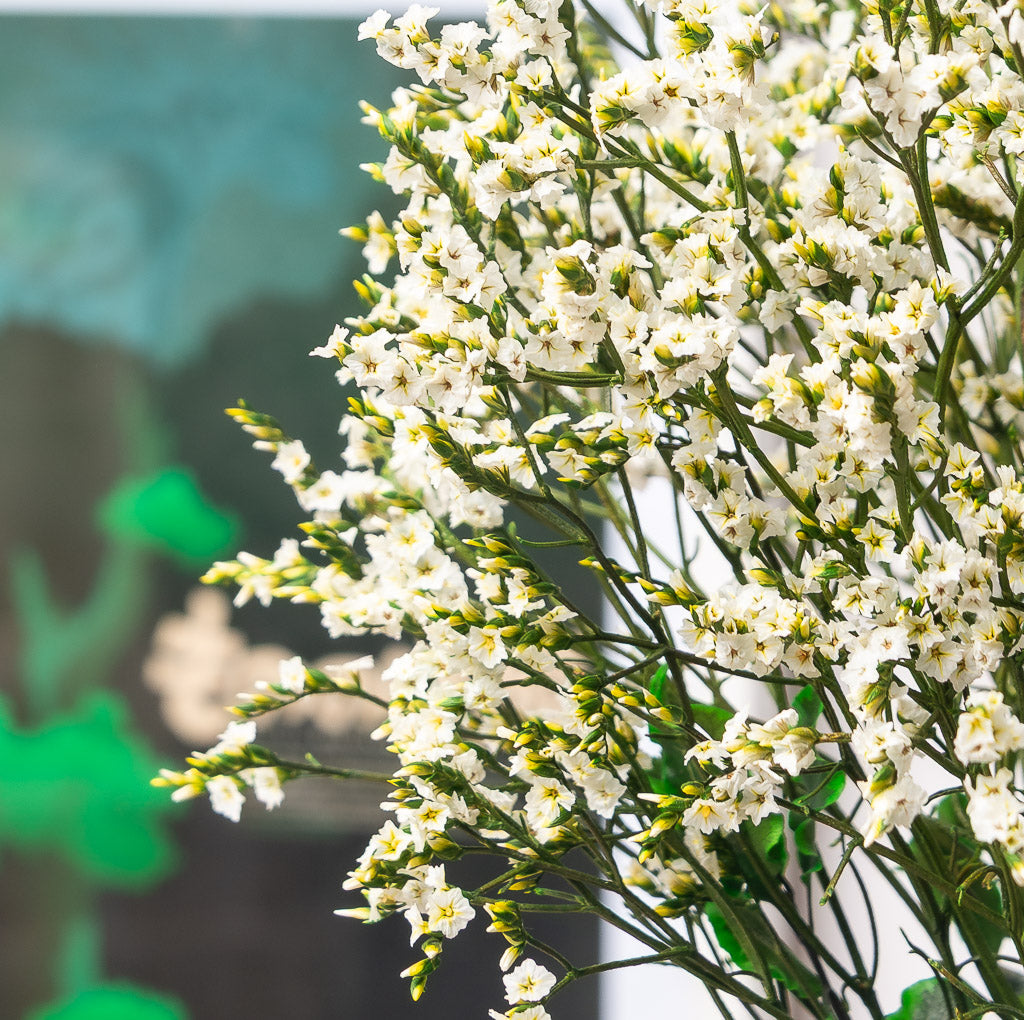 Kokedama eterno de limonium