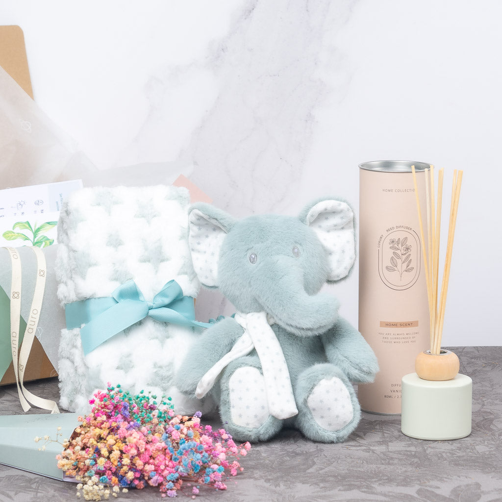 caja regalo con pack de elefante preservado, mikado con esencias y mantita