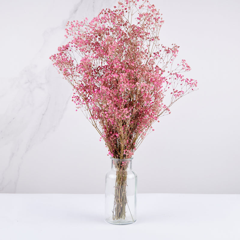 gypsophilla rosa preservada en jarrón de cristal curie